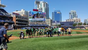 mavs at petco
